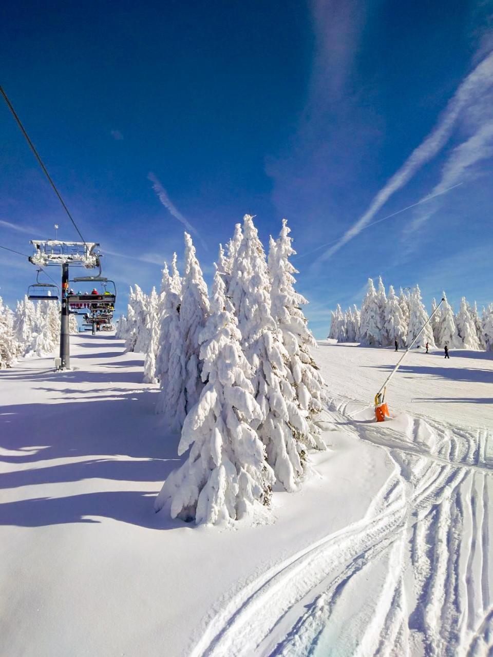 Ski&Spa Milmari L17 Kopaonik Zewnętrze zdjęcie